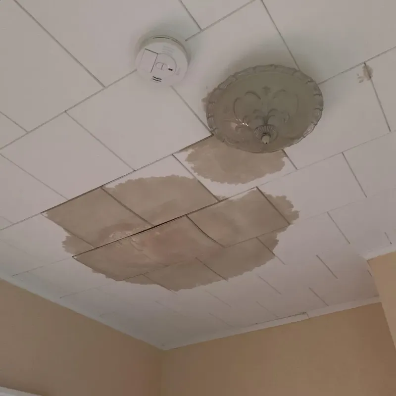 Ceiling Water Damage Repair in Captains Cove, VA