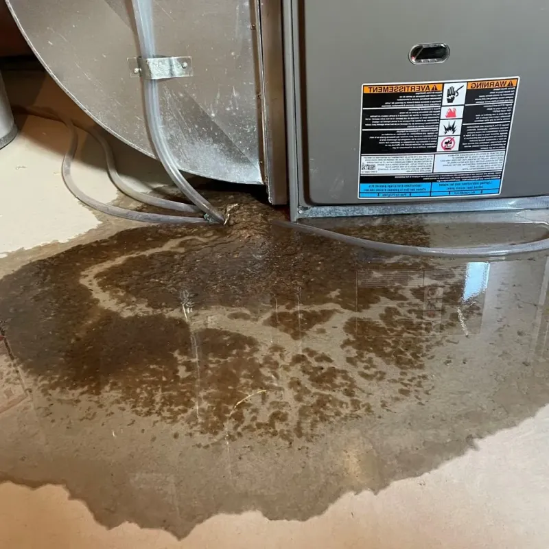 Pipe Burst and Leak Restoration in Captains Cove, VA