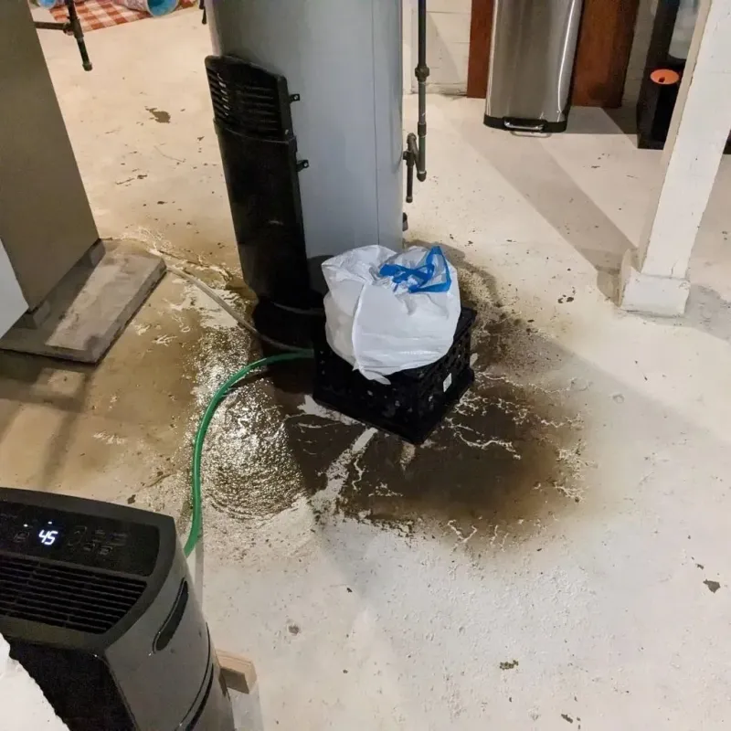 Sewage Backup Cleanup Service in Captains Cove, VA